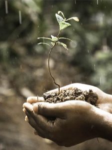 plant hand duurzaam