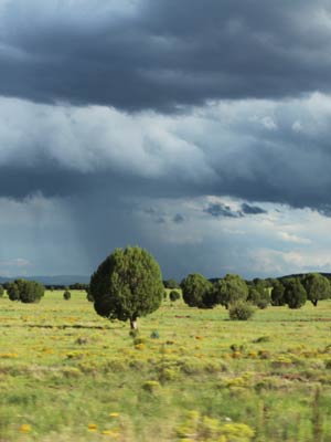 Door klimaatveranderingen gaat het in de toekomst vaker en harder regenen.