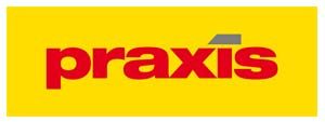 Praxis logo